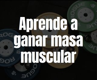 Guía de entrenamiento