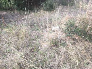 Terreno en venta en Seva
