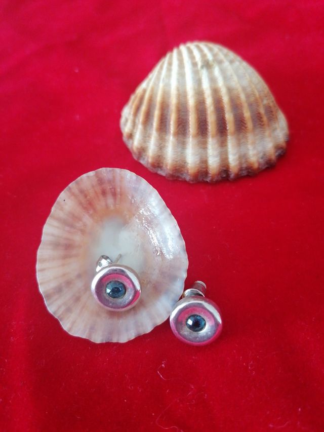 Orecchini in argento e blu