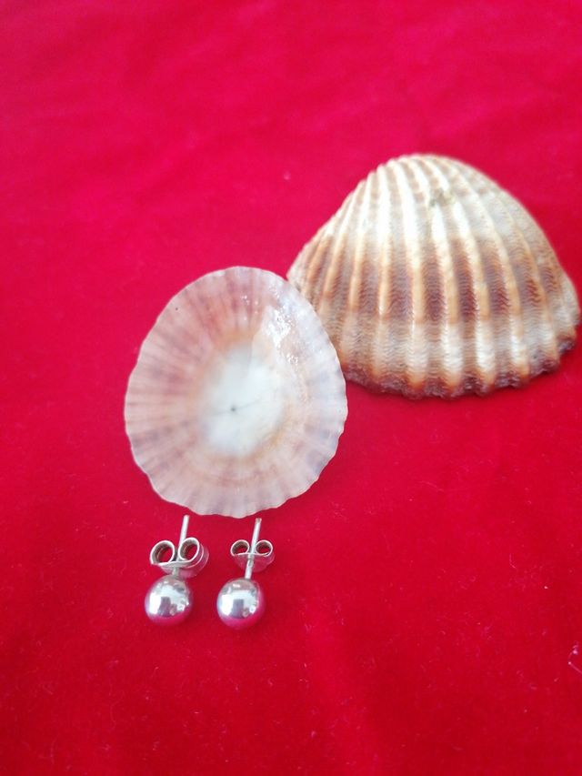 Orecchini a sfera in argento