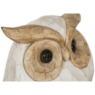 Statuetta Gufo Decorativa in Resina - Consegna Rap