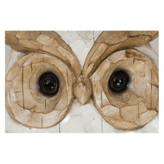 Statuetta Gufo Decorativa in Resina - Consegna Rap