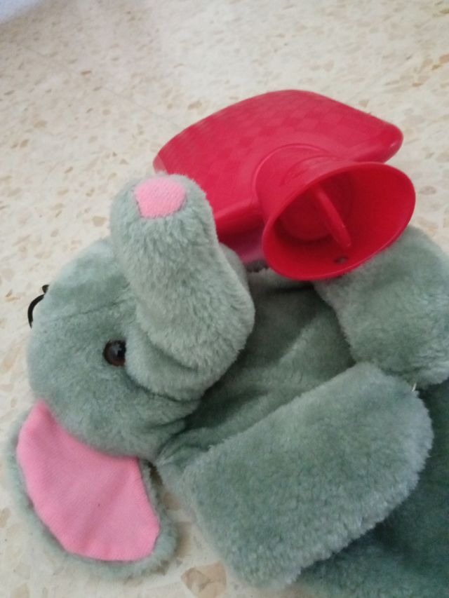 Bolsa de agua caliente