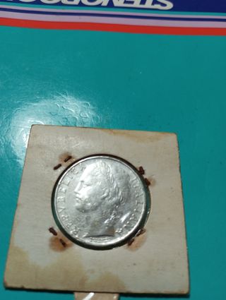 100 Lire 1955
