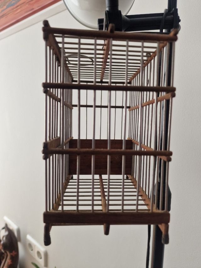 Jaula canario