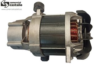 Motor eléctrico hidro Stihl RE 118-RE 128 PLUS