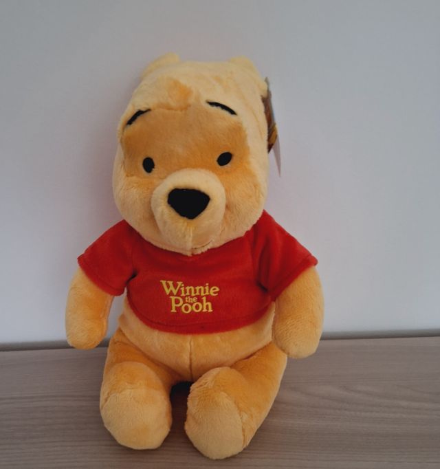 Winnie the  Pooh