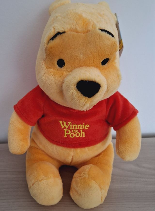 Winnie the  Pooh