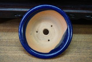 Maceta de bonsai Bigei Azul 13.5 × 3.8cm.