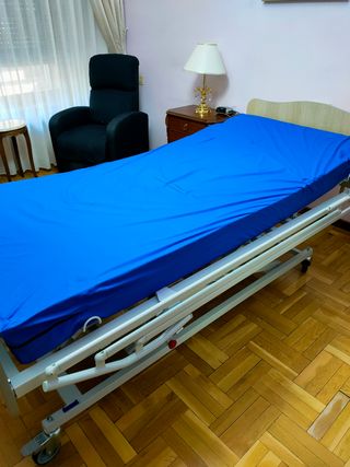 Cama Articulada Eléctrica