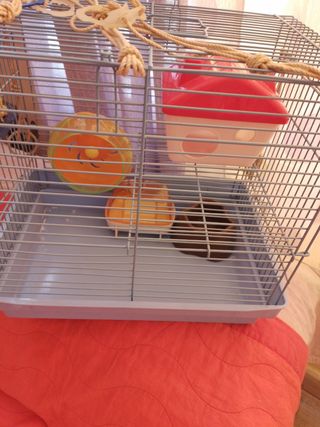 Jaula hamster pequeños