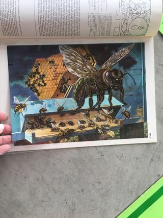 Tavole transvision Motta 1981