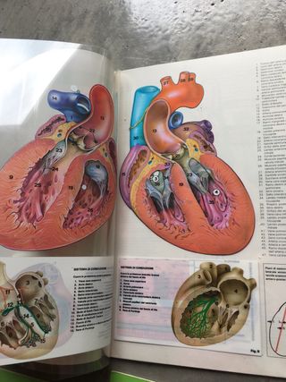 Tavole transvision Motta 1981