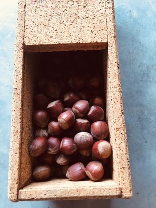 Scatola sughero pubblicitaria anni 80