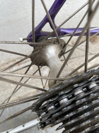 Otero clásica Campagnolo 90’s