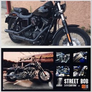 Harley Davidson Dyna street bob
