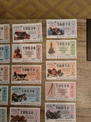 LOTE DECIMOS LOTERIA 1995