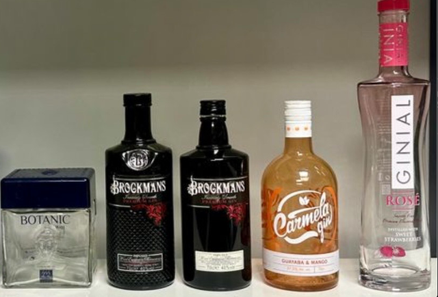 BOTELLAS VACIAS VODKA Y GINEBRAS