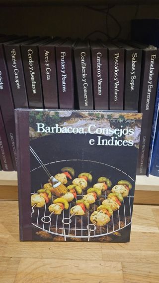 Enciclopedia 'Curso práctico de cocina'