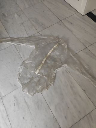 Equipación invierno