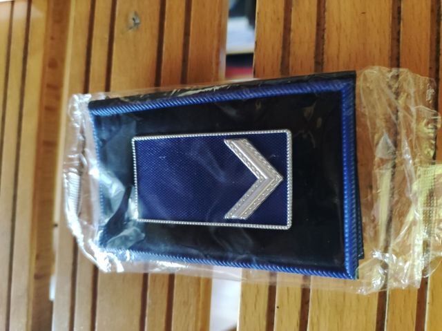 Mostrine da agente scelto