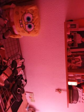 Armario ,cama y vitrina