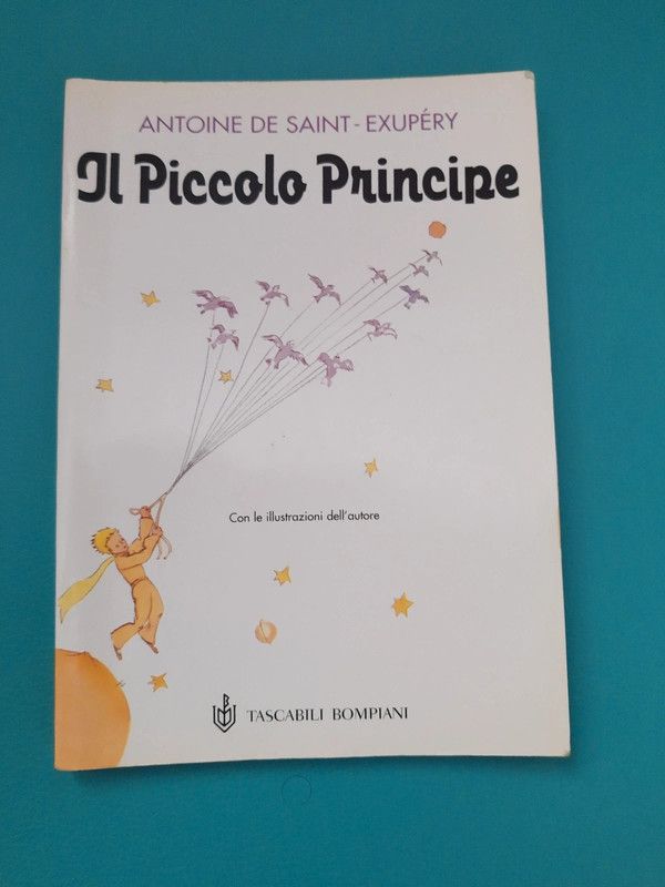 Il piccolo principe