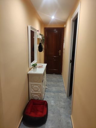 Alquiler apartamento calle cabañal