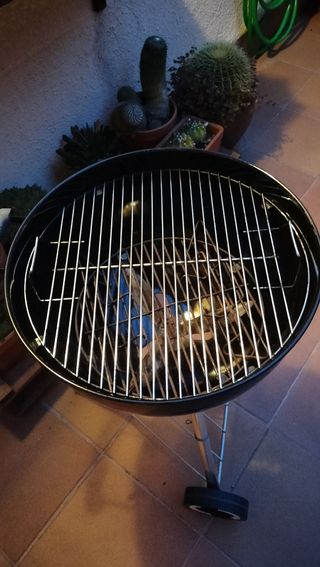 Barbacoa Weber con termostato