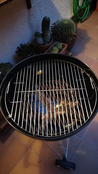 Barbacoa Weber con termostato