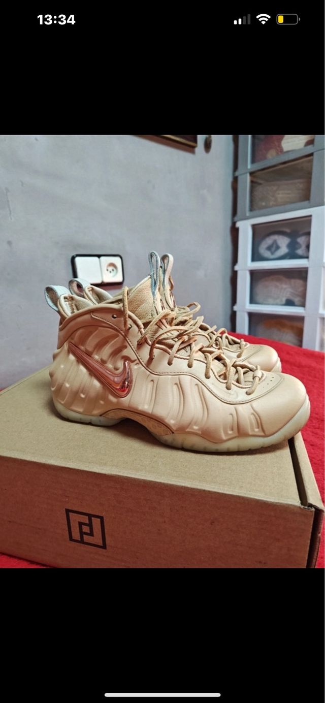 Nike Air foamposite pro