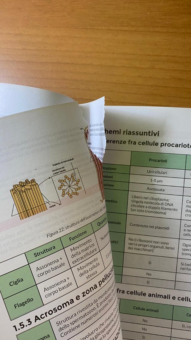 Manuale di preparazione ai test di med