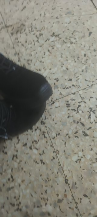 Zapatos 👞 de trabajo