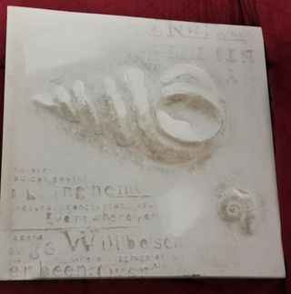 Tela verniciata e stampata 