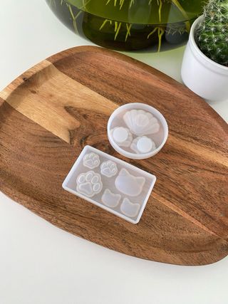 SET - 5 stampi per resina epossidica tema animale