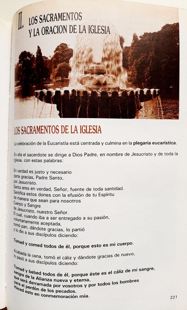 Esta es nuestra fe, esta es la fe de la Iglesia