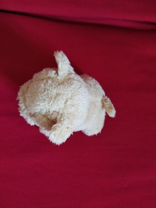 Cagnolino in peluche