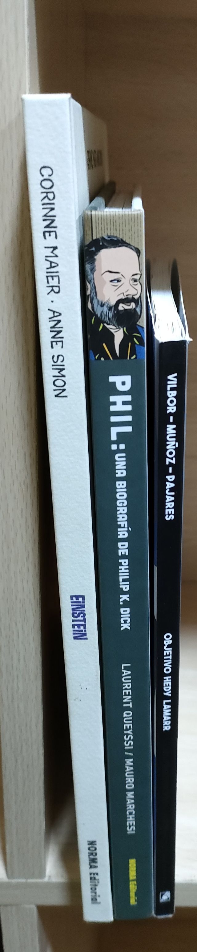 Einstein + Phil K Dick