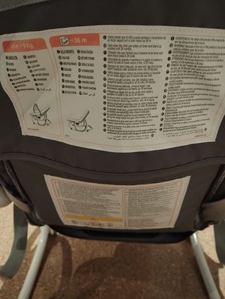 Hamaca jane Evolution