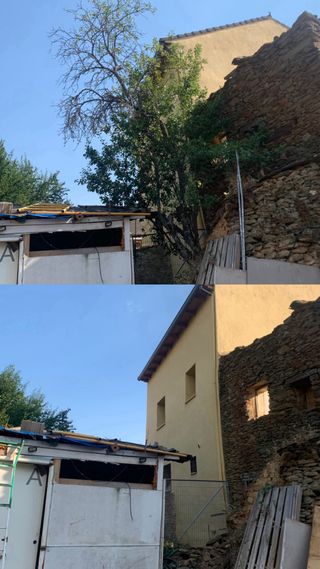 Se corta leña a domicilio