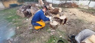 Se corta leña a domicilio