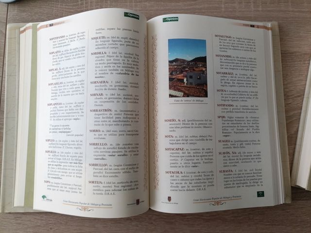 Gran Diccionario Popular Málaga y Prov.