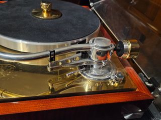 Plato PROJECT 175 Aniversario