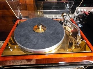 Plato PROJECT 175 Aniversario