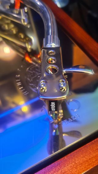 Plato PROJECT 175 Aniversario