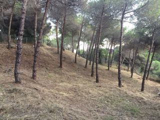 Terreno en venta/ Alquiler opcion compra