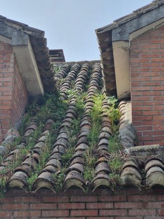 Reparación de Tejados