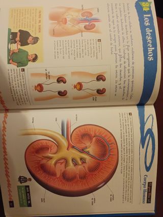 Libro del Cuerpo Humano