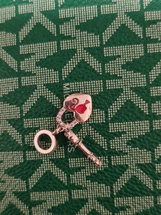 Charm tipo pandora de plata 