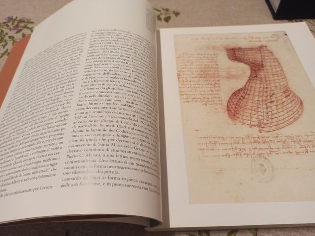 Leonardo pittore. L'opera completa